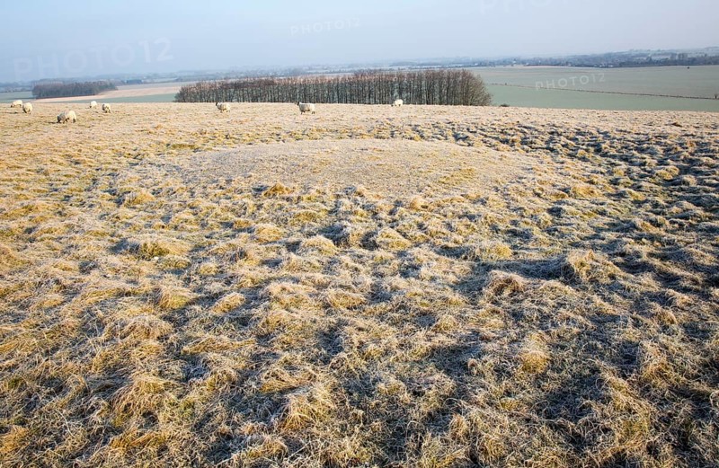 Bronze Age saucer barrow on Windmill Hill, a Neolithic causewayed enclosure, near Avebury, Wiltshire, England, UK