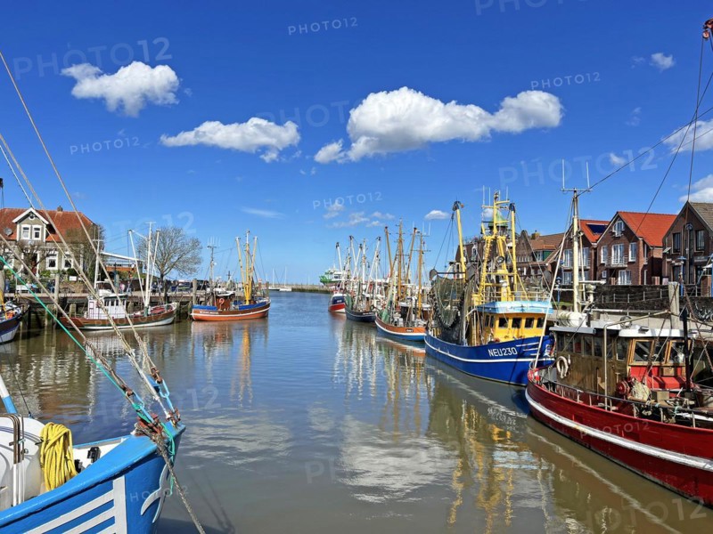 Crab cutter, harbour, Neuharlingersiel, East Frisia, Germany, Europe