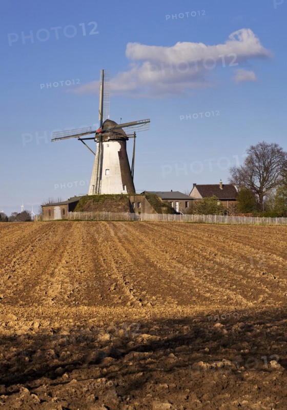 Historic Grottenherten tower windmill, Bedburg, Rhine-Erft district, Lower Rhine, North Rhine-Westphalia, Germany, Europe