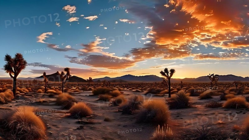 Mojave desert with joshua trees sprinkled in a sunrise, AI generated