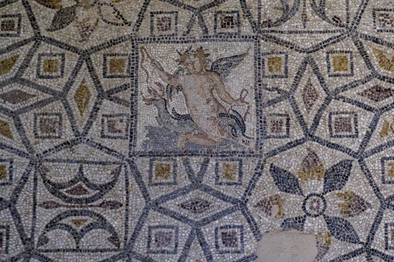 Floor mosaic, Archaeological Museum, former hospital of the Order of St John, 15th century, Old Town, Rhodes Town, Greece, Europe