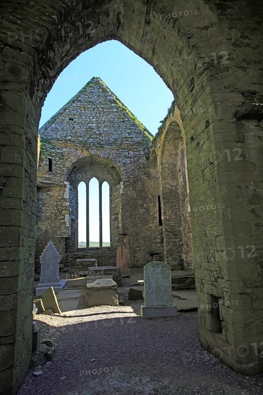 Historic ruins of Timoleague Friary, County Cork, Ireland, Irish Republic, Europe
