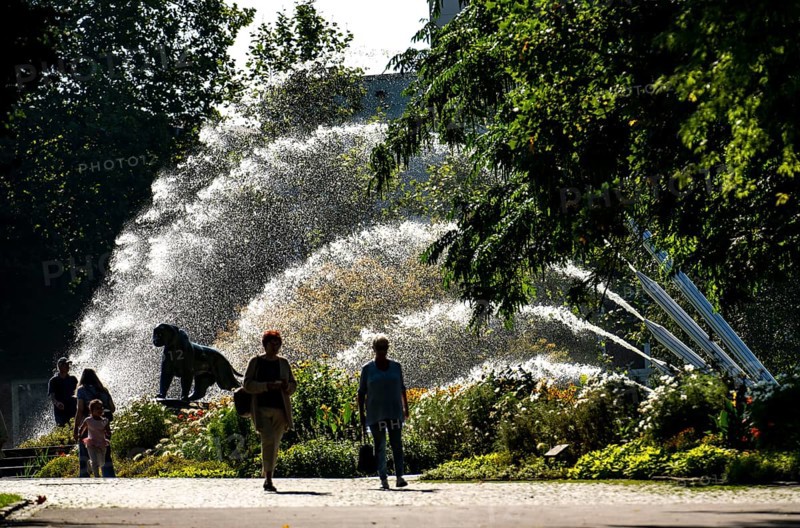 The Grugapark, main entrance at the Grugahalle, five-jet water fountain, bronze artwork, tiger, Essen, North Rhine-Westphalia, Germany, Europe