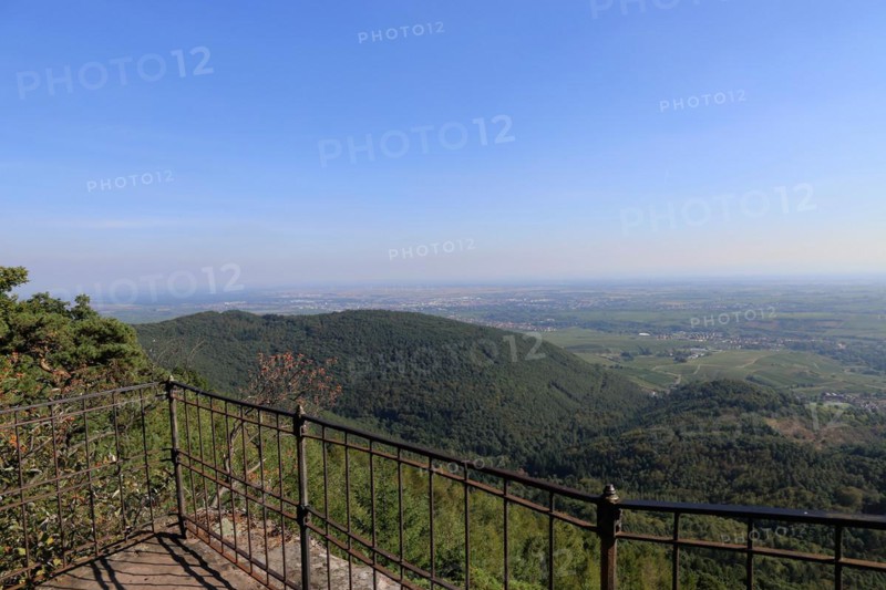 View of the Rhine plain from the summit plateau of the Orensberg (southern Wine Route)