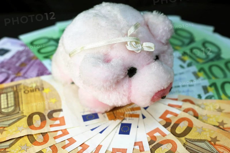 Euro banknotes with a pig as a symbol of good luck