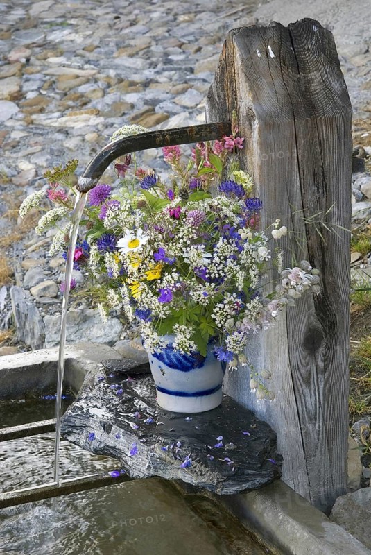 Europe Schweinz Albinen fountain water water jet flowers decorative decorative Valais
