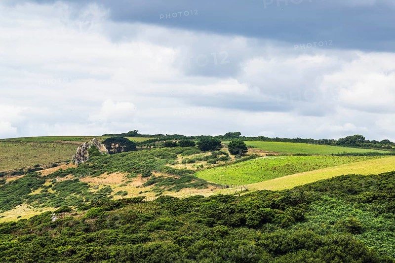 Rocks over Fields and Farms on S W Coast Path, Plymouth, South Devon, England, United Kingdom, Europe