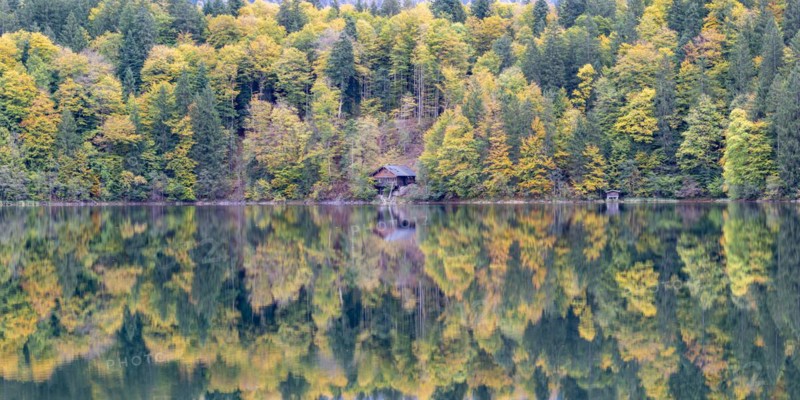 Freibergsee lake in autumn, near Oberstdorf, with the Allgäu Alps behind it, Allgäu, Bavaria, Germany, Europe