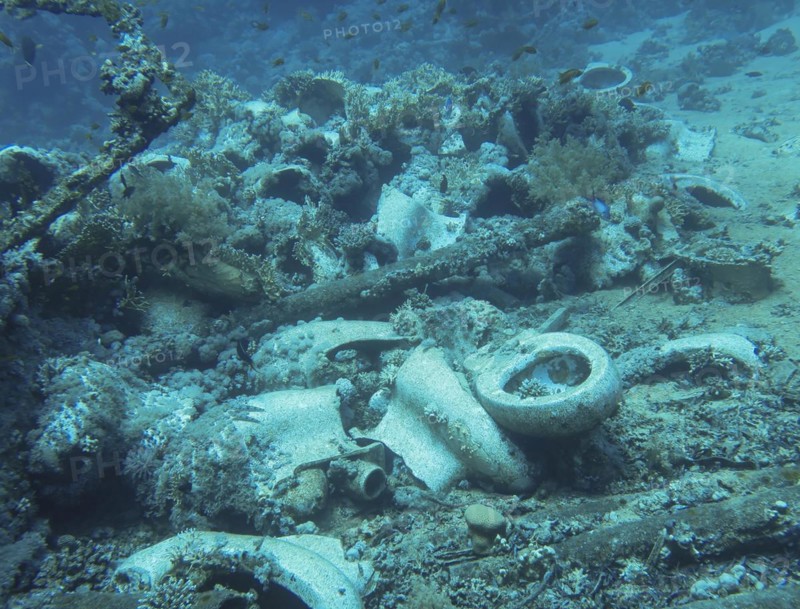 Ceramics, toilet bowls, wreck of the Jolanda, dive site Ras Mohammed Shark and Jolanda Reef, Red Sea, Egypt, Africa