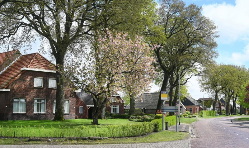 NL, Eesergroen: Spring characterises the landscape, towns and people in the province of Drenthe in the Netherlands. The picturesque village of Ees in Drenthe. NL, Eesergroen: Spring shapes the landscape, cities and people in the province of Drenthe in the Netherlands