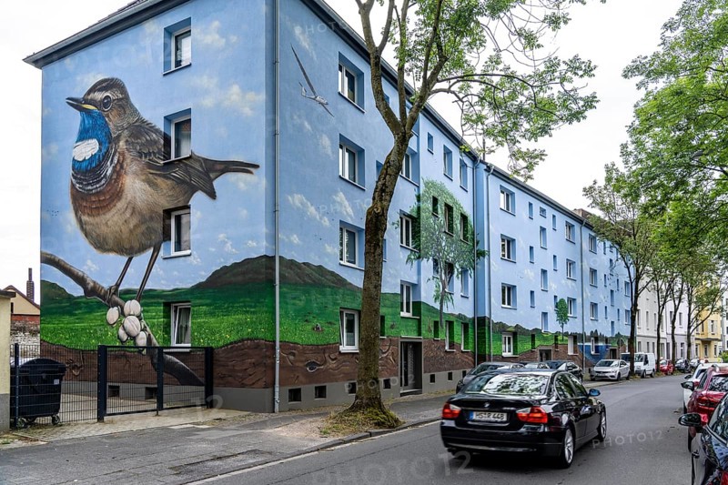 Residential buildings on Feldsieper Straße in Bochum, after an energy-efficient refurbishment, with facade insulation, the Bochumer Wohnstätten Wohnungsgenossenschaft had the buildings painted with a large mural by Dortmund graffiti artist Denis Klatt, it shows a bluethroat and a landscape with trees, life below ground and lots of sky on the entire facade, Bochum-Hamme, North Rhine-Westphalia, Germany, Europe