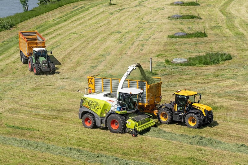 Hay harvest, on a Rhine meadow near Duisburg-Beeckerwerth, a forage harvester picks up the cut grass, which was piled up in strips after cutting, and loads it into a silage wagon, cattle feed, North Rhine-Westphalia, Germany, Europe