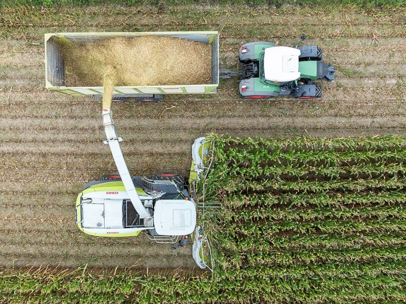 A tractor with silage transport wagon drives next to a forage harvester to load chopped maize, maize harvest, silage, forage maize, fodder for dairy cows, energy production, aerial view, Constance district, Baden-Württemberg, Germany, Europe