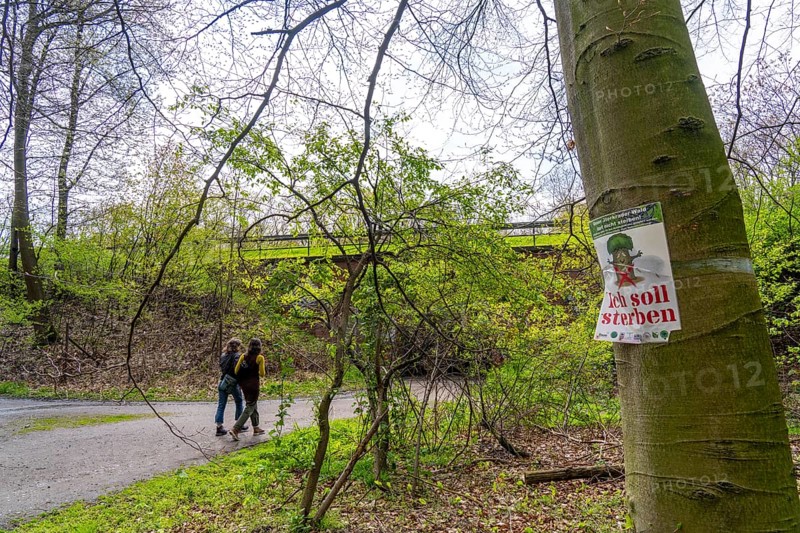 The Sterkrader Wald in Oberhausen, at the Oberhausen motorway junction, where the A2/A3A/A516 meet, it is to be expanded, 11 hectares of forest, around 5, 000 trees are to be felled for this, strong resistance to the plans has formed in the region, #Sterkibleibt, North Rhine-Westphalia, Germany, Europe