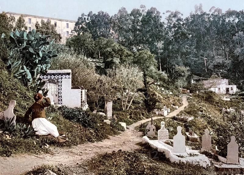 The cemetery, Algiers, Algeria, ca 1890, Historical, digitally restored reproduction from a 19th century original, Record date not stated, Africa