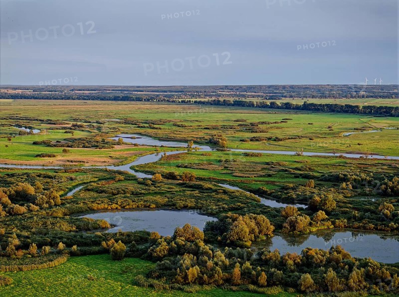 The Warta Estuary National Park, Park Narodowy Ujscie Warty, where the Warta flows into the Oder. The park consists mainly of meadows and pastureland, intersected by numerous old river courses and canals. Aerial view. Kostrzyn nad Odra, Lubuskie, Poland, Europe