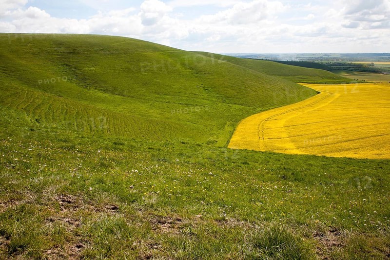 Chalk scarp slope near Allington, Wiltshire, England, United Kingdom, Europe