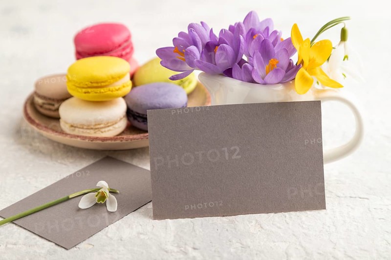Gray paper business card mockup with spring snowdrop crocus flowers and multicolored macaroons on gray concrete background. Blank, business card, side view, copy space, still life. spring concept