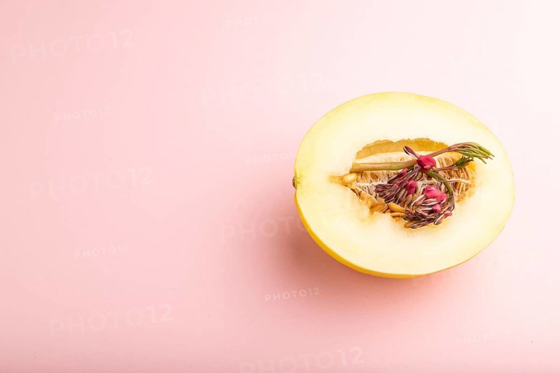 Sliced ripe yellow melon and dicentra flowers on pink pastel background. Side view, copy space. harvest, women health, vegan food, concept, minimalism