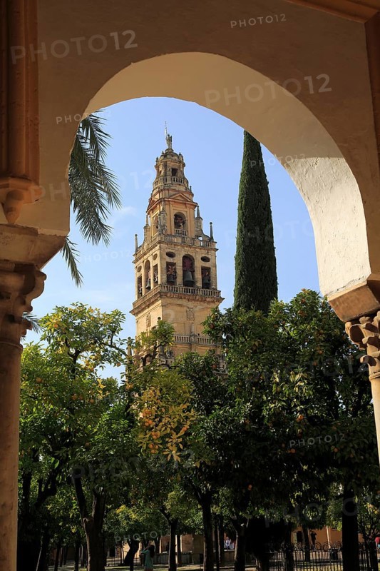Cathedral belfry bell tower, Toree del Laminar, Great Mosque, Cordoba, Spain, Europe