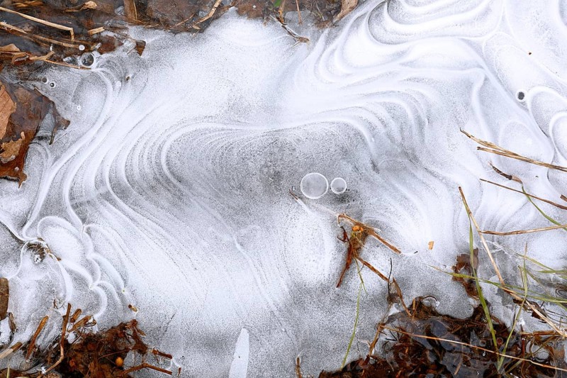 Winter flood 2024 on the rivers Elbe and Mulde with flooding of the meadows, close-up of ice structures on the meadows due to flooding in winter, bizarre ice formations, Middle Elbe Biosphere Reserve, Dessau-Roßlau, Saxony-Anhalt, Germany, Europe