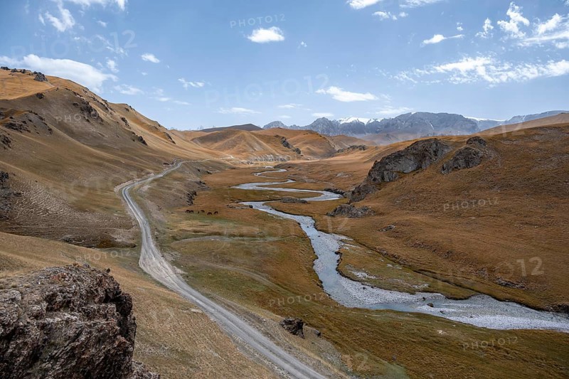 Road, track between hills with yellow grass, Kol Suu river winds through a mountain valley, Naryn province, Kyrgyzstan, Asia