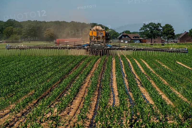 A maize field, with young plants, is fertilised with liquid manure, self-propelled slurry tanker, near Geldern, North Rhine-Westphalia, Germany, Europe