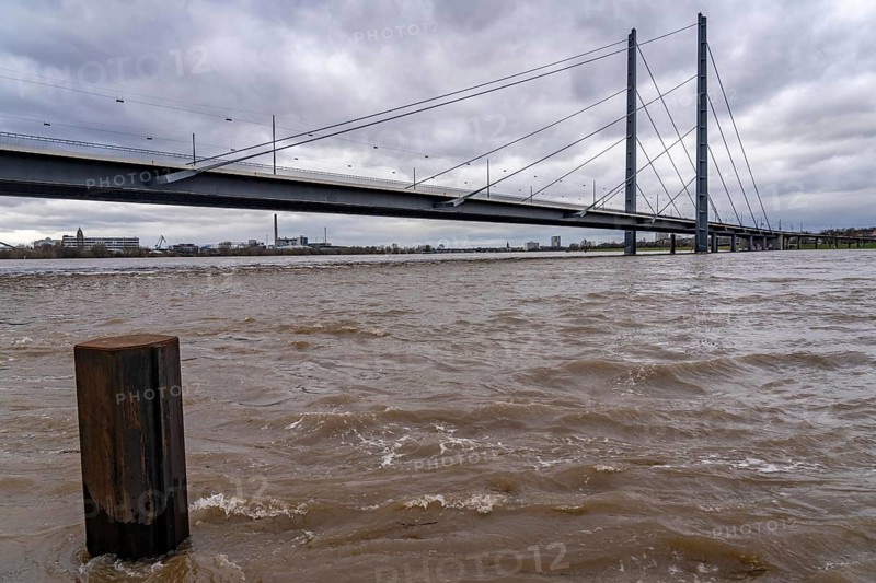Rhine knee bridge, high water of the Rhine near Düsseldorf, North Rhine-Westphalia, Germany, Europe