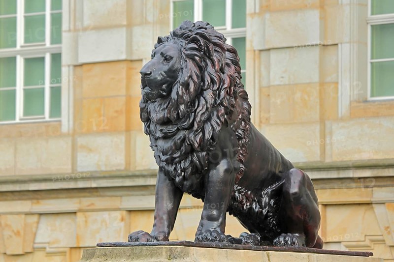 Large bronze lion figure with mane, sculpture, lion's mane, Ducal Museum, Schlossplatz, Gotha, Thuringia, Germany, Europe