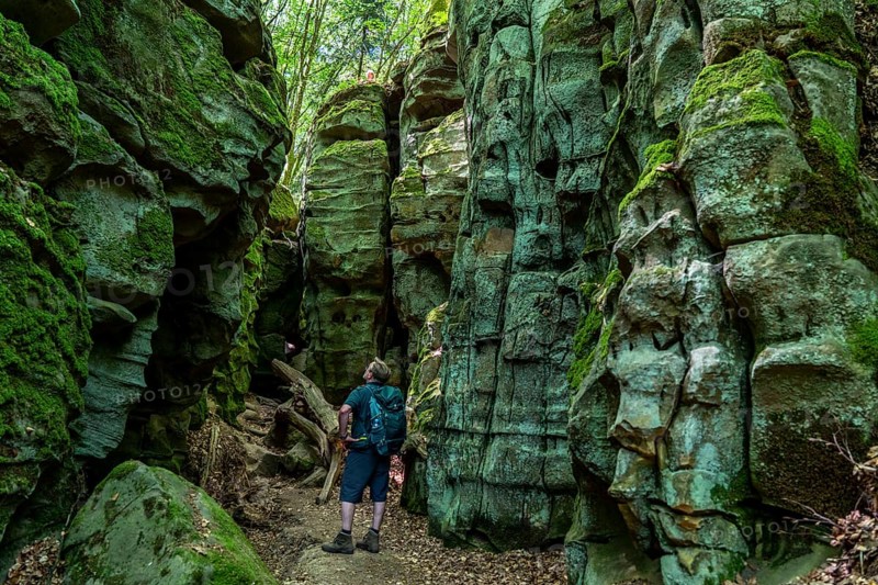 The Devil's Gorge, narrow, accessible gorge of sandstone rocks, with steep rocky gorges, near Irrel, Southern Eifel nature park Park, Rhineland-Palatinate, Germany, Europe