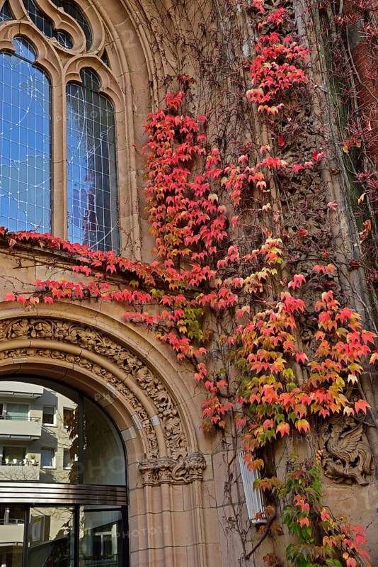 Europe, Germany, Hamburg, Rotherbaum, architecture, facade post office building, former telecommunications building in Schlüterstraße, facade growth, Wild Vine, autumn, post office 13, Europe