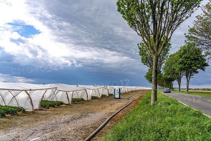 Agriculture, large areas with foil tunnel, for the cultivation of strawberries, south of Lövenich, belongs to Erkelenz, in the district of Heinsberg, mobile loo for field workers, North Rhine-Westphalia, Germany, Europe