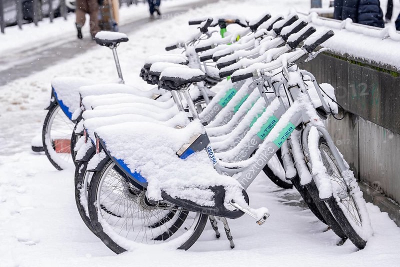 Winter in the city, snow-covered rental bikes from Nextbike, animal, Hauptwache, Frankfurt am Main, Hesse, Germany, Europe