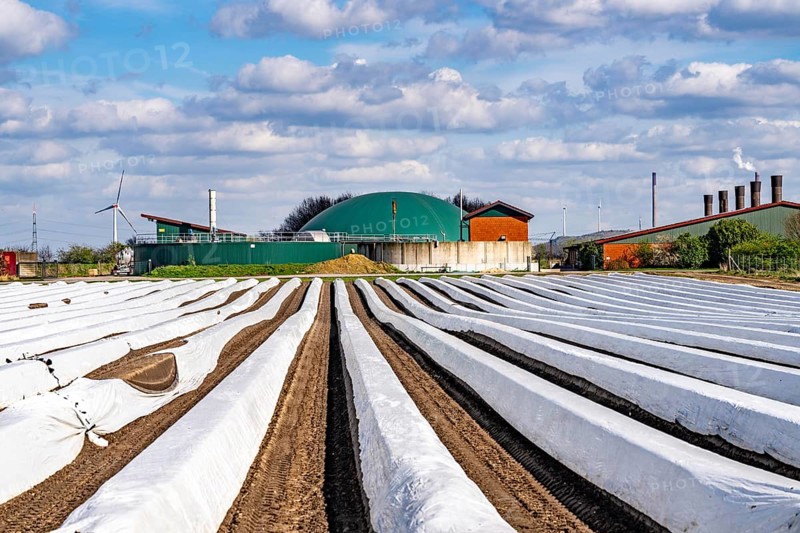 Asparagus fields, asparagus stems under foil, for faster growth, biogas plant on a farm, near Kirchhellen, district of Bottrop, North Rhine-Westphalia, Germany, Europe