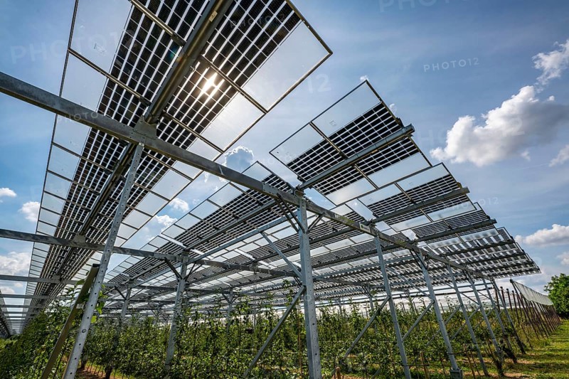 Agri-photovoltaic test plant, an apple orchard with two different systems of PV modules was roofed over 3000 square metres, rain and sunlight comes through, at the same time protection against hail and heavy rain, next to it are the same trees but without a solar roof, as a comparison object, how the PV roof affects the trees and harvest, the field test is accompanied by the Fraunhofer Institute for Solar Energy Systems ISE, in Grafschaft-Gelsdorf, Rhineland-Palatinate, Germany, Europe