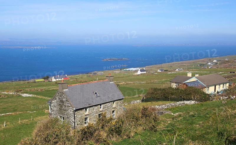 Houses along the west coast of Cape Clear Island, County Cork, Ireland, Irish Republic, Europe