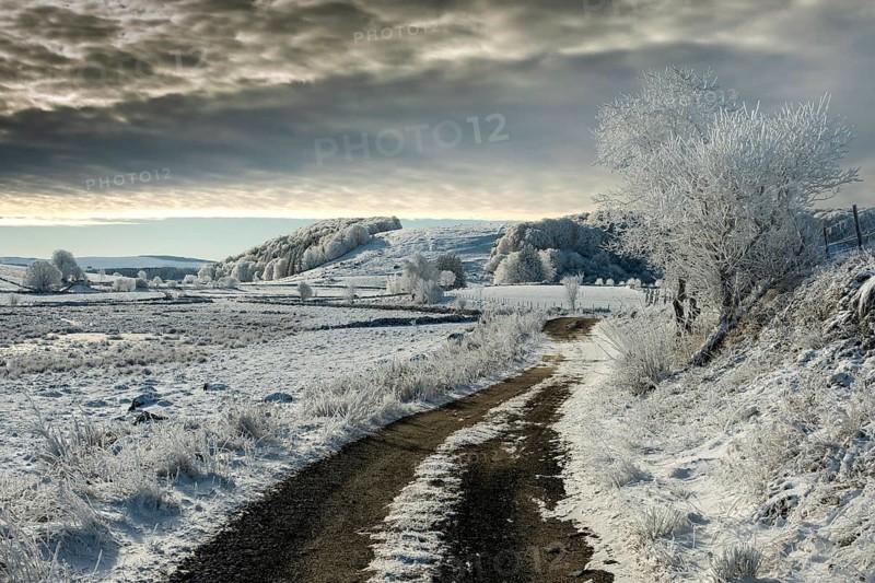 Path on Aubrac plateau in winter. Lozere. Occitanie. France