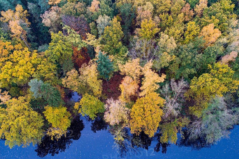 Mixed forest in autumn, colouring, aerial view, forest, autumnal, district Vechta, Moorbach, Daren, Bakum, Lower Saxony, Germany, Europe