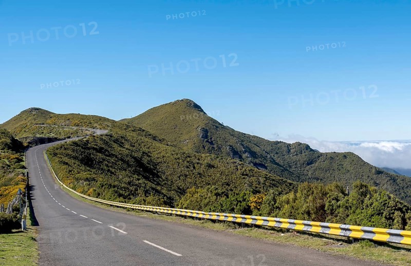 Road on the Paul da Serra plateau, Madeira, Portugal, Europe
