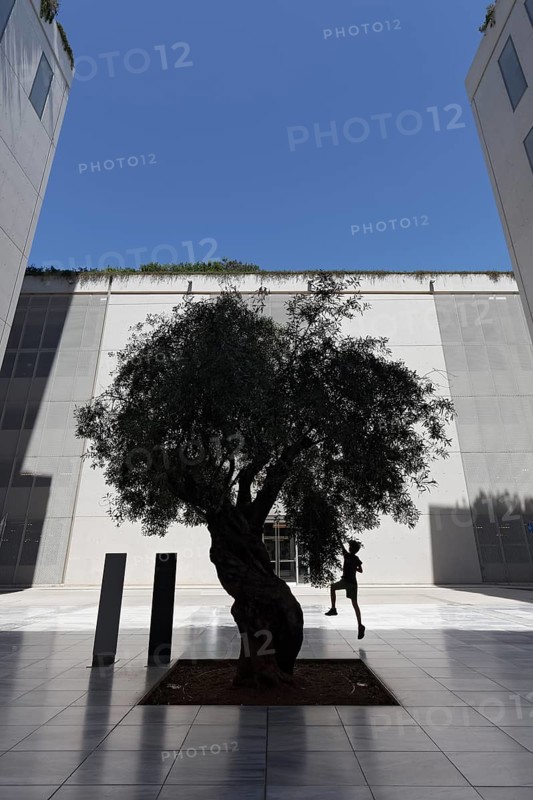 Boy jumps up and reaches for the leaves of an olive tree, silhouette between modern concrete architecture, cultural centre of the Stavros Niarchos Foundation, architect Renzo Piano, Kallithea, metropolitan region of Athens, Greece, Europe