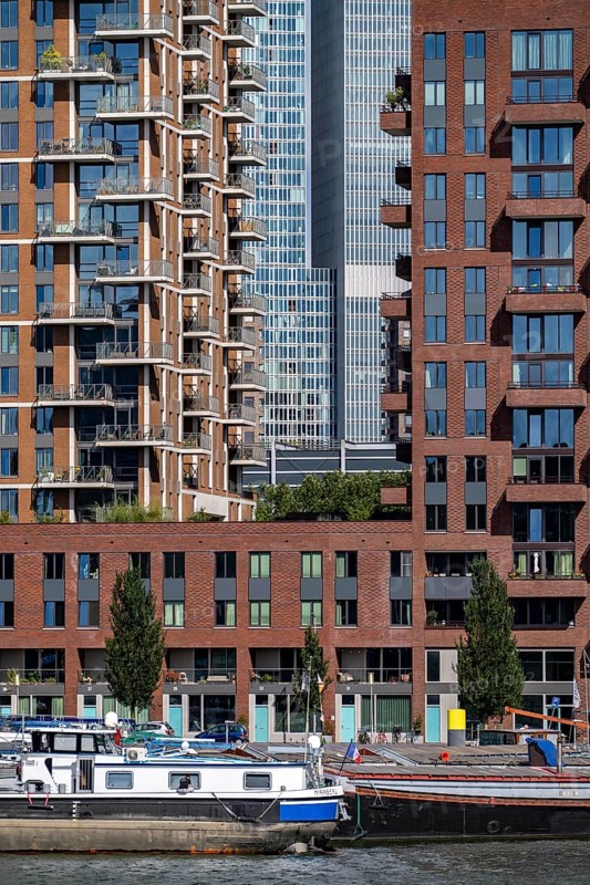Harbour basin of the Maashaven, inland waterway port, jetties, residential buildings in the Kop van Zuid and Katendrecht district, almost all buildings have been built or rebuilt in recent years, popular residential area, structural change, Rotterdam, Netherlands