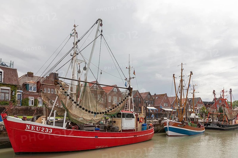 Cutter harbour Neuharlingersiel, shrimp cutter, East Frisia, Lower Saxony, Germany, Europe