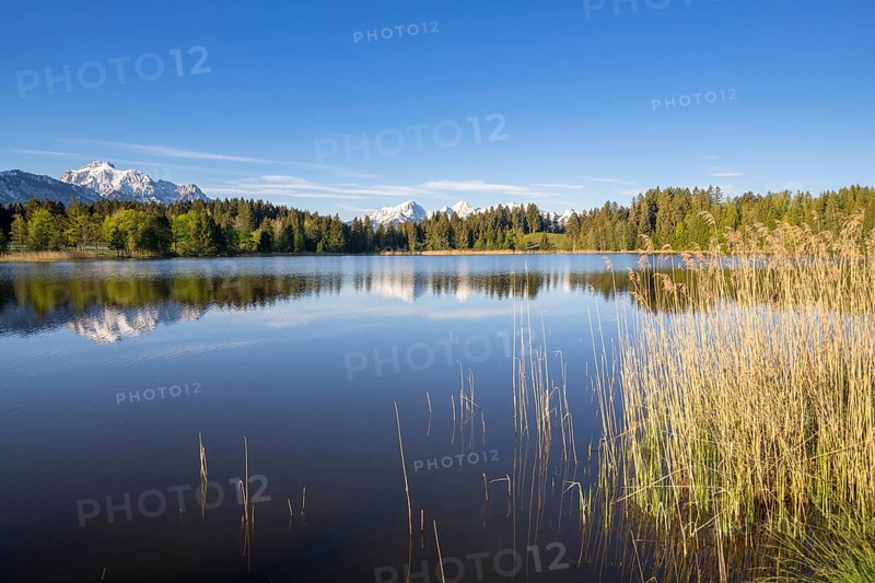Hegratsrieder See near Füssen, Allgäu Alps, snow, Allgäu, Bavaria, Germany, Europe