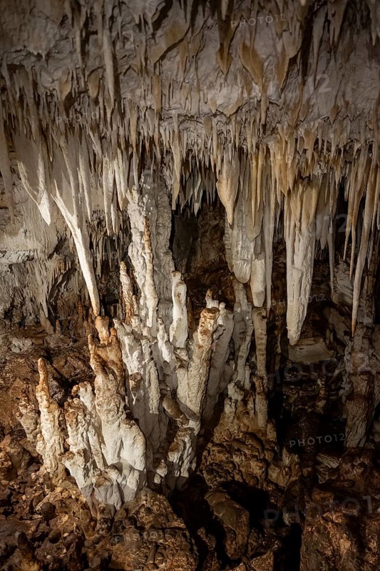 Stalactites and stalagmites in a stalactite cave, Terciopelo Cave, Barra Honda National Park, Costa Rica, Central America