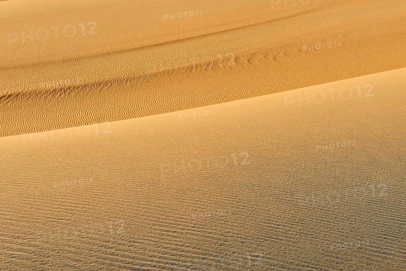 Wave-like sand dunes in a dry desert landscape in golden colours, Matruh, Great Sand Sea, Libyan Desert, Sahara, Egypt, North Africa, Africa