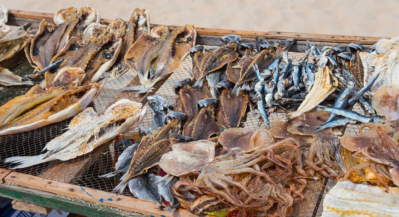 A wooden rack with dried fish of different varieties on the beach, fish drying, Praia da Nazare beach, Nazaré, Oeste, Leiria district, Centro, Portugal, Europe