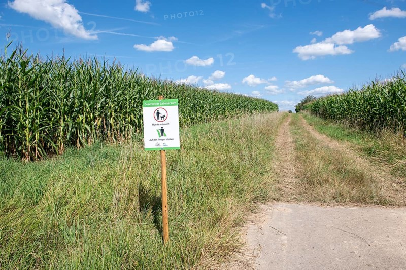 Sign for dog owners that they should stay on the paths and that dogs must be kept on a lead.NABU, animal welfare, fields, field path, maize fields, protected habitat, meadow, Baden-Württemberg, Germany, Europe