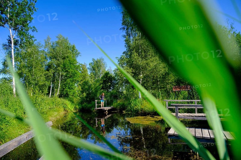 Moor adventure trail, nature conservation centre, Pfrunger-Burgweiler Ried nature reserve, Wilhelmsdorf, Linzgau, Baden-Württemberg, Germany, Europe
