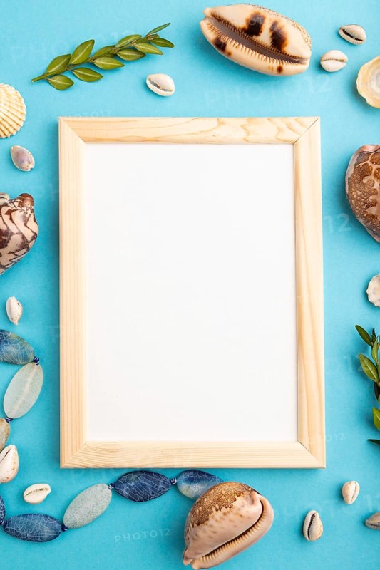 Composition with wooden frame, seashells, green boxwood. mockup on blue pastel background. Blank, top view, still life, flat lay, copy space. travel concept