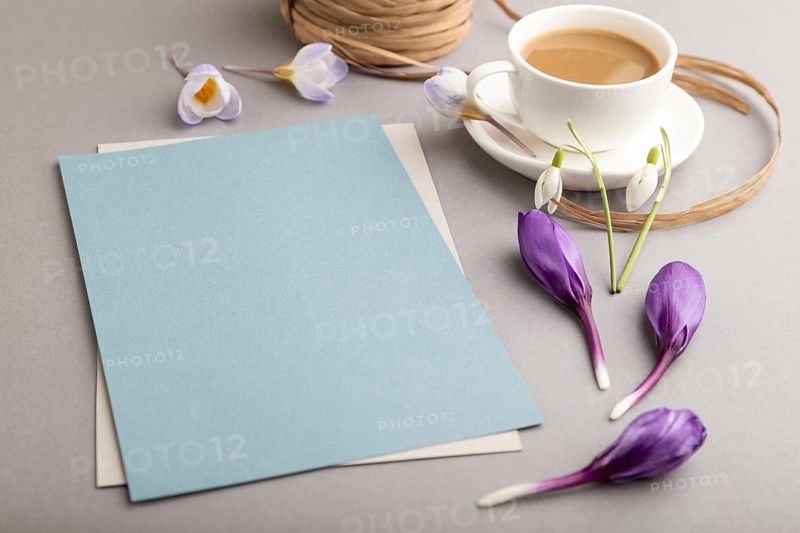 Blue paper sheet mockup with spring snowdrop crocus and galanthus flowers and cup of coffee on gray background. Blank, business card, side view, copy space, still life. spring concept